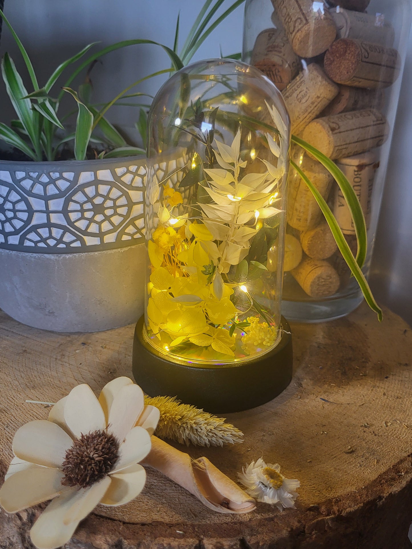 Cloche lumiere