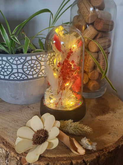 Cloche lumiere