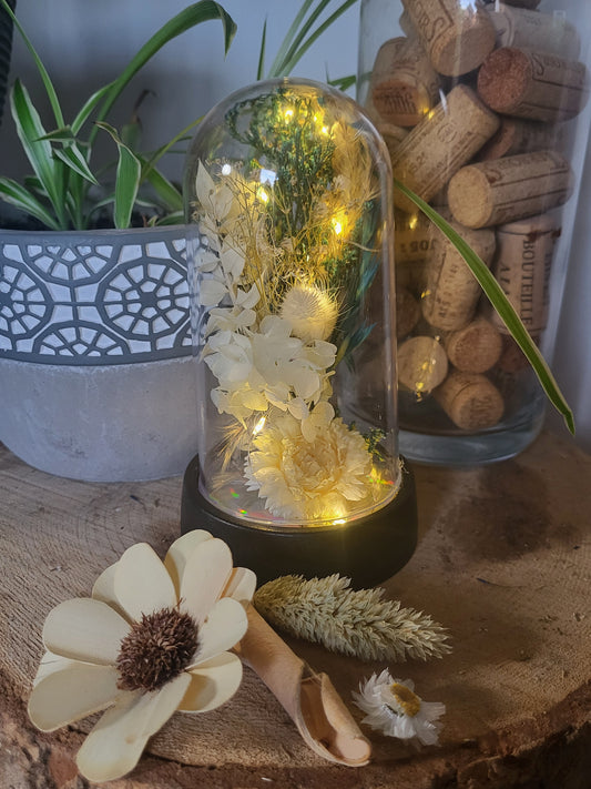 Cloche lumiere